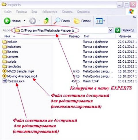 forex card wiki