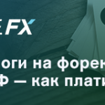 Налоги с торговли на Форексе в России: стоит ли платить?