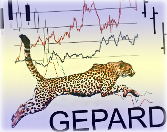 Forex advisor gepard 8 financial instrument ifrs 9