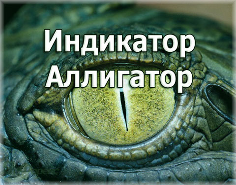 Индикатор Аллигатор (Alligator). Как им пользоваться на Форекс? Описание и настройка — видео уроки