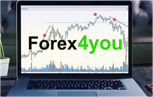 Forex4you spreads forex market for beginners opportunities