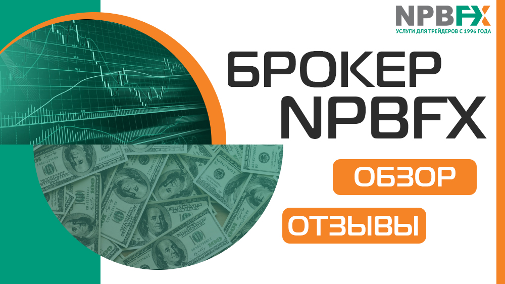 NPBFX Limited — обзор и отзывы клиентов о Форекс брокере