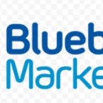 Blueberry Markets  — обзор брокера и его торговых условий