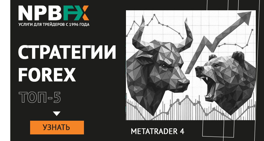 Стратегии Форекс бесплатно: ТОП-5 лучших на Аналитическом портале NPBFX